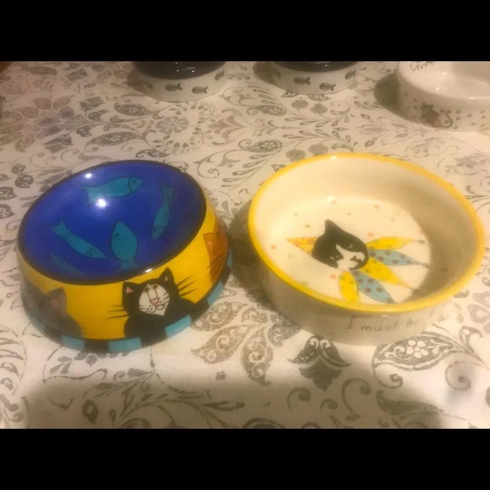 Cat bowls